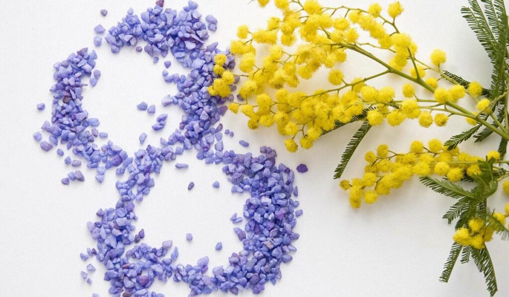 Вітаємо з Міжнародним жіночим днем!  Днем боротьби за права жінок!
