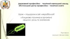Урок – подорож в світ мікробіології «Кишкова паличка в організмі людини: роль та значення»
